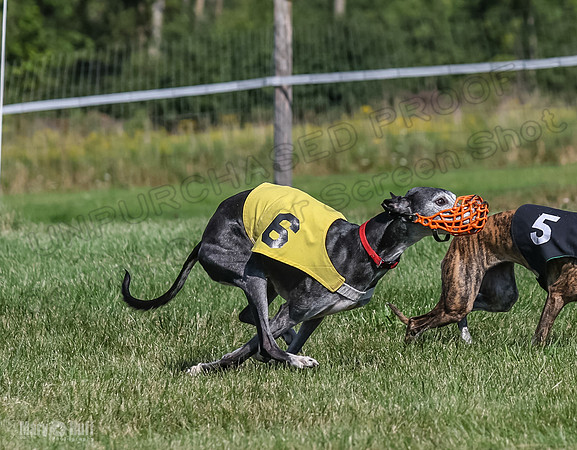 Program 1, Race 5 Conway Pearl Tissy Tina Bogie-1056