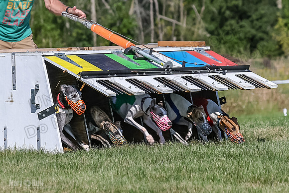 Program 1, Race 5 Conway Pearl Tissy Tina Bogie-1042