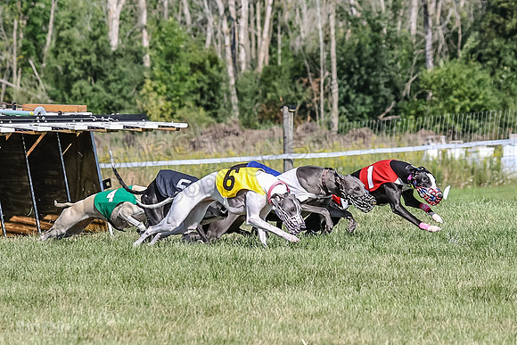 Program 1, Race 2 Jett Bolty Smokey Nathalia Zen Clover-0877