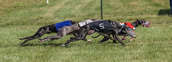 Program 1, Race 2 Jett Bolty Smokey Nathalia Zen Clover-0888