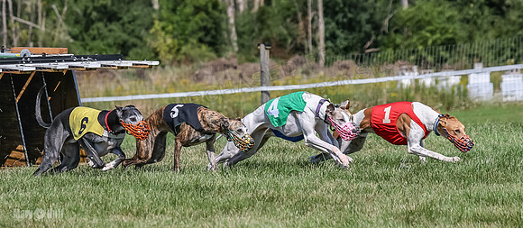Program 1, Race 5 Conway Pearl Tissy Tina Bogie-1046