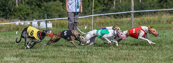 Program 1, Race 5 Conway Pearl Tissy Tina Bogie-1052