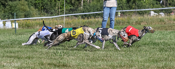 Program 1, Race 4 Charlotte Fia Chuck Bandit Blaze Denim-1001