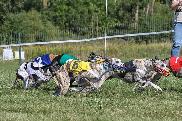 Program 1, Race 4 Charlotte Fia Chuck Bandit Blaze Denim-1000