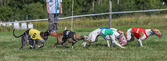 Program 1, Race 5 Conway Pearl Tissy Tina Bogie-1053