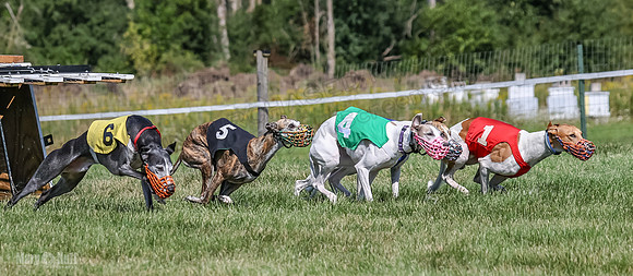 Program 1, Race 5 Conway Pearl Tissy Tina Bogie-1047