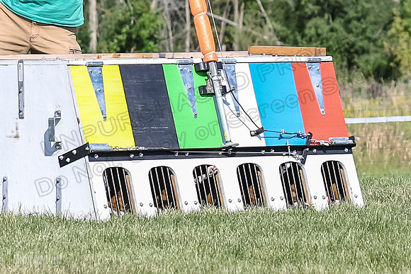 Program 1, Race 2 Jett Bolty Smokey Nathalia Zen Clover-0864