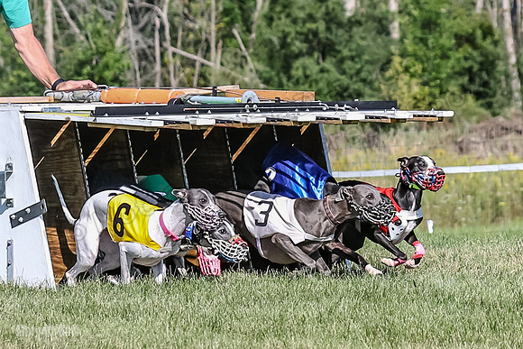 Program 1, Race 2 Jett Bolty Smokey Nathalia Zen Clover-0872