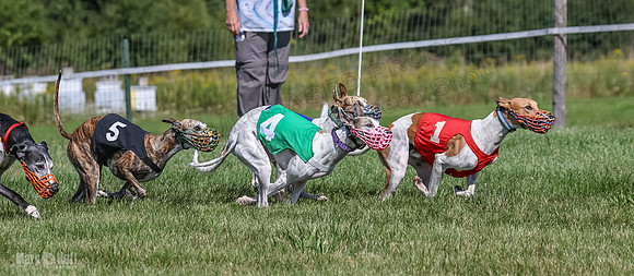 Program 1, Race 5 Conway Pearl Tissy Tina Bogie-1051