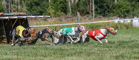 Program 1, Race 5 Conway Pearl Tissy Tina Bogie-1045