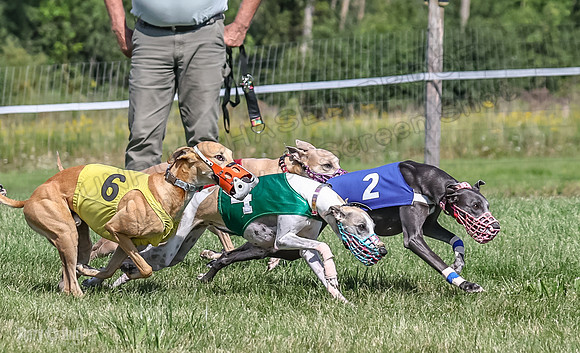 Program 1, Race 7 Zelda Sneakers Shimmy Mimic Jethro-1217