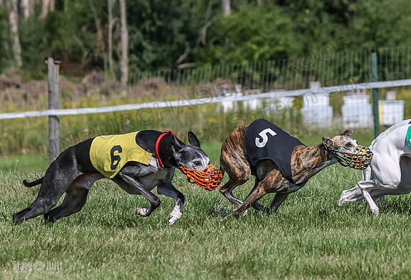 Program 1, Race 5 Conway Pearl Tissy Tina Bogie-1050