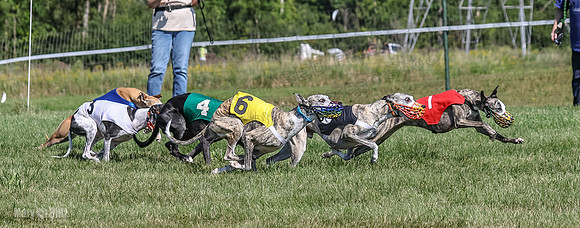Program 1, Race 4 Charlotte Fia Chuck Bandit Blaze Denim-1003