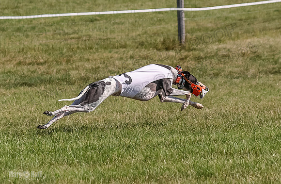 Program 1, Race 4 Charlotte Fia Chuck Bandit Blaze Denim-1017
