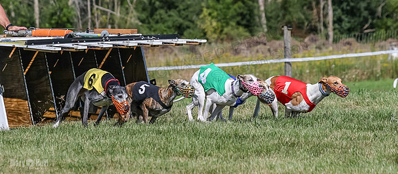 Program 1, Race 5 Conway Pearl Tissy Tina Bogie-1044
