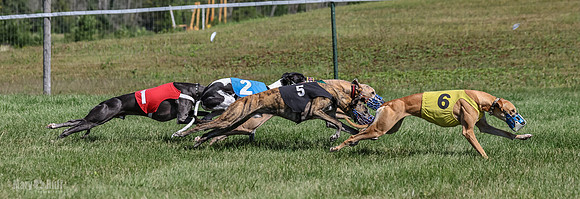 Program 1, Race 6 Sting tusi Roxy Meatloaf EllieMae-1146