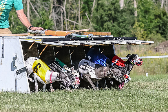 Program 1, Race 2 Jett Bolty Smokey Nathalia Zen Clover-0871