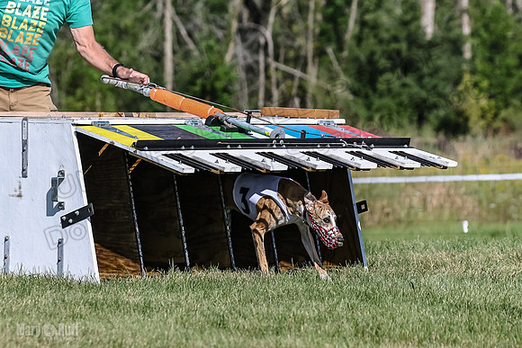 Program 1, Race 1 Puppy Hex-0825