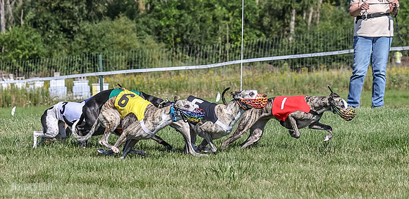 Program 1, Race 4 Charlotte Fia Chuck Bandit Blaze Denim-0999