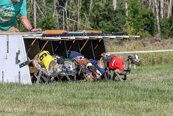 Program 1, Race 4 Charlotte Fia Chuck Bandit Blaze Denim-0988