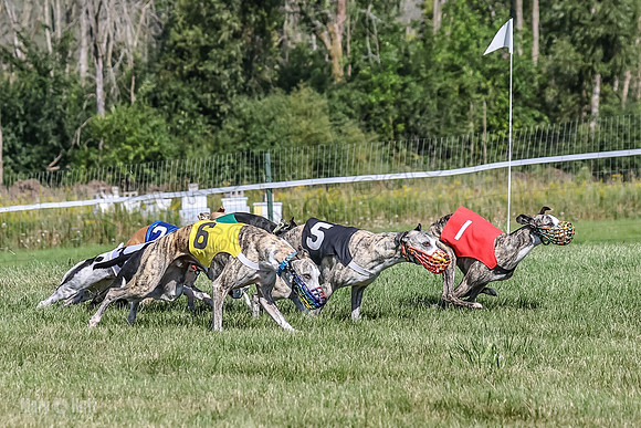 Program 1, Race 4 Charlotte Fia Chuck Bandit Blaze Denim-0998