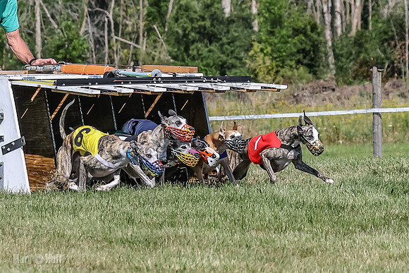Program 1, Race 4 Charlotte Fia Chuck Bandit Blaze Denim-0989