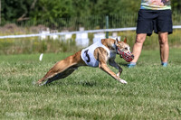 Program 1, Race 1 Puppy Hex-0835