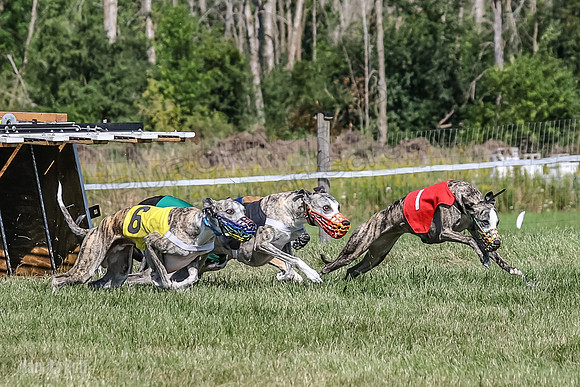 Program 1, Race 4 Charlotte Fia Chuck Bandit Blaze Denim-0993