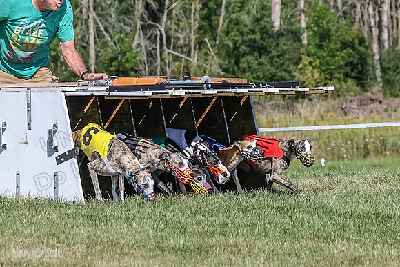 Program 1, Race 4 Charlotte Fia Chuck Bandit Blaze Denim-0987