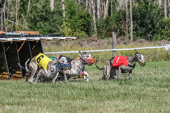 Program 1, Race 4 Charlotte Fia Chuck Bandit Blaze Denim-0992