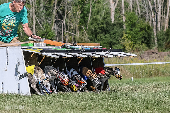 Program 1, Race 4 Charlotte Fia Chuck Bandit Blaze Denim-0986