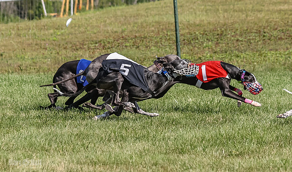 Program 1, Race 2 Jett Bolty Smokey Nathalia Zen Clover-0882-2