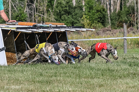 Program 1, Race 4 Charlotte Fia Chuck Bandit Blaze Denim-0990