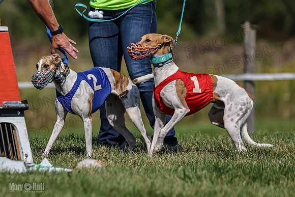 Program 1, Race 5 Conway Pearl Tissy Tina Bogie-1029