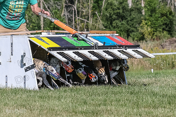 Program 1, Race 4 Charlotte Fia Chuck Bandit Blaze Denim-0985