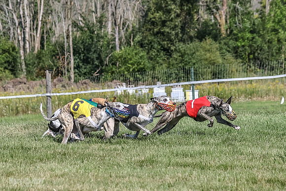 Program 1, Race 4 Charlotte Fia Chuck Bandit Blaze Denim-0996