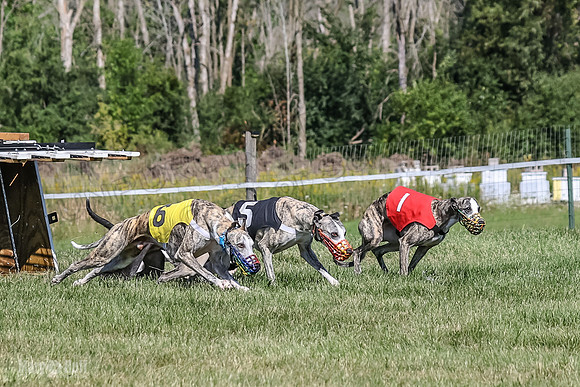 Program 1, Race 4 Charlotte Fia Chuck Bandit Blaze Denim-0994