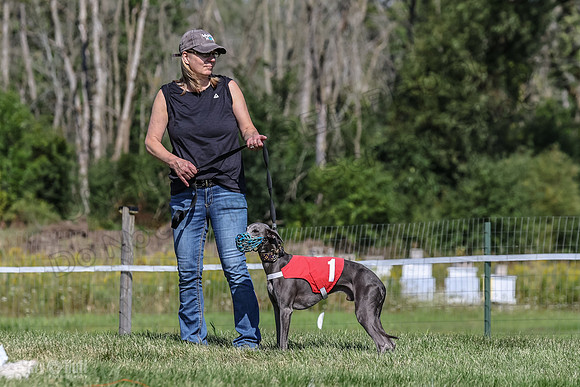 Program 1, Race 6 Sting tusi Roxy Meatloaf EllieMae-1107