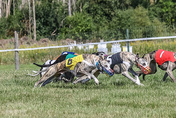 Program 1, Race 4 Charlotte Fia Chuck Bandit Blaze Denim-0997