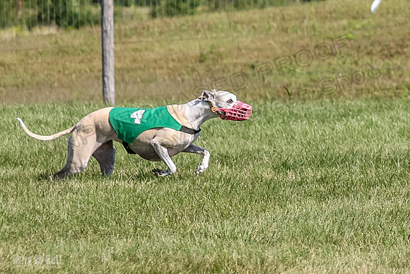 Program 1, Race 2 Jett Bolty Smokey Nathalia Zen Clover-0883