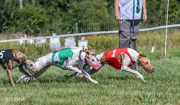 Program 1, Race 5 Conway Pearl Tissy Tina Bogie-1049