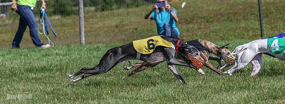 Program 1, Race 5 Conway Pearl Tissy Tina Bogie-1060