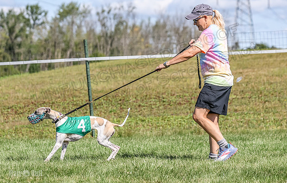 Program 1, Race 7 Zelda Sneakers Shimmy Mimic Jethro-1187