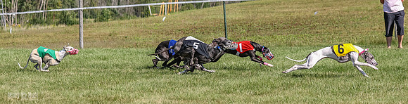 Program 1, Race 2 Jett Bolty Smokey Nathalia Zen Clover-0882
