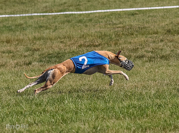 Program 1, Race 4 Charlotte Fia Chuck Bandit Blaze Denim-1018