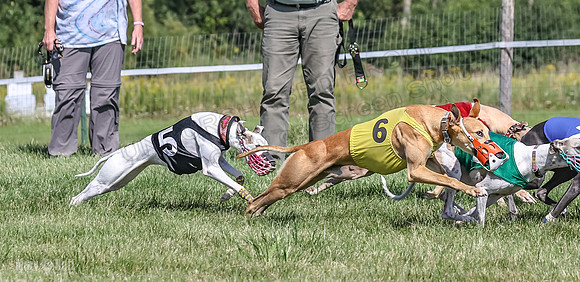 Program 1, Race 7 Zelda Sneakers Shimmy Mimic Jethro-1218