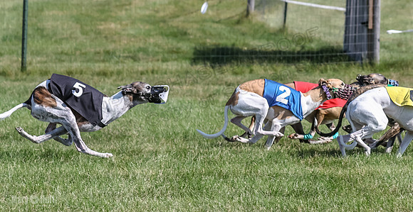 Program 1, Race 3 The Fonz Piper Serena Trillian Riley Gambit-0950