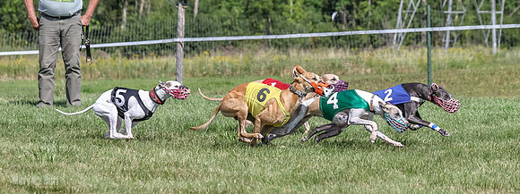 Program 1, Race 7 Zelda Sneakers Shimmy Mimic Jethro-1220