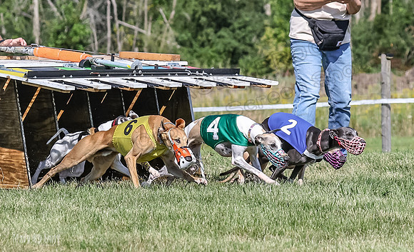 Program 1, Race 7 Zelda Sneakers Shimmy Mimic Jethro-1208