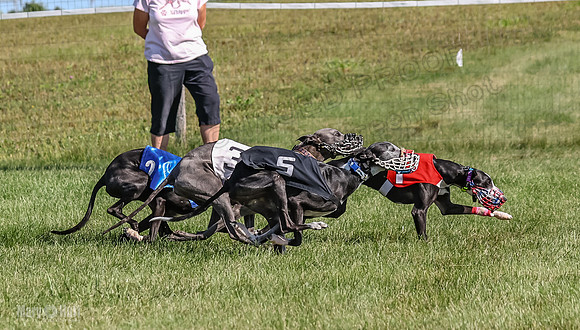 Program 1, Race 2 Jett Bolty Smokey Nathalia Zen Clover-0886
